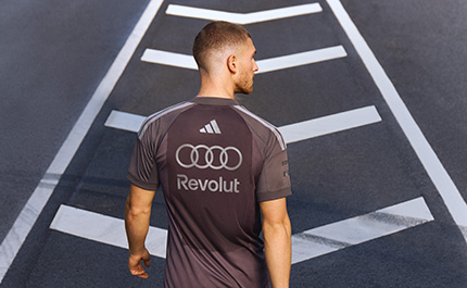 Audi F1 Awareness banner